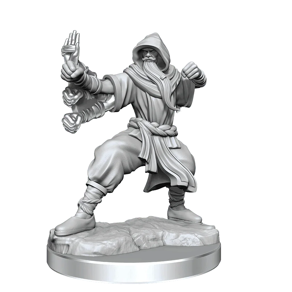 D&D Frameworks Human Monk Male - Image 3