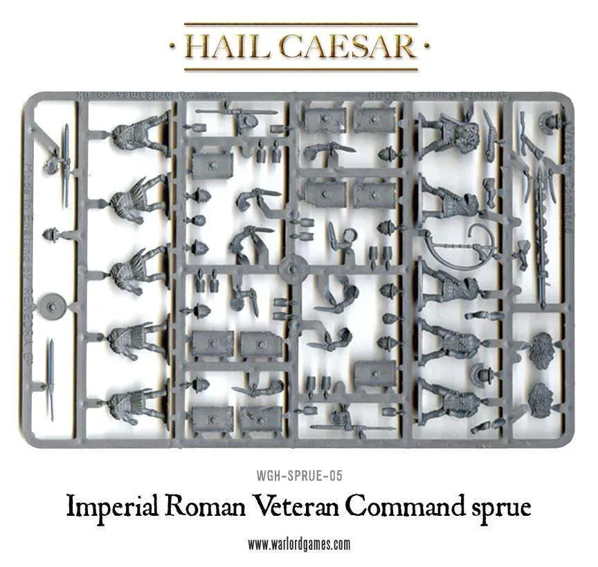 Early Imperial Romans: Veterans - Image 4