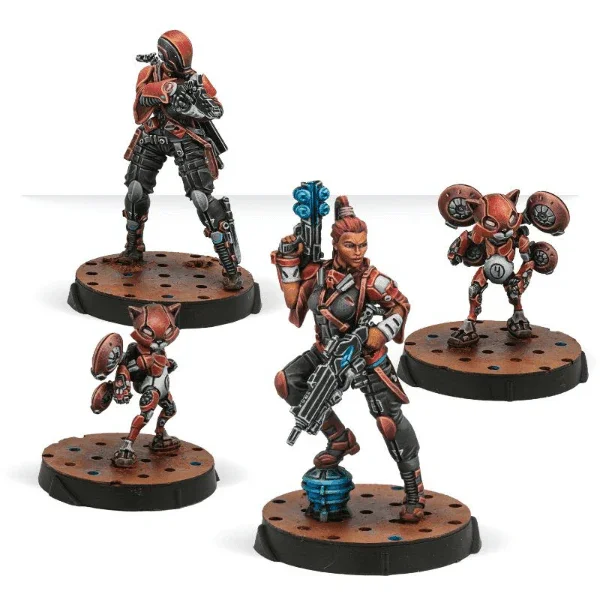 Infinity - Tomcats Nomads